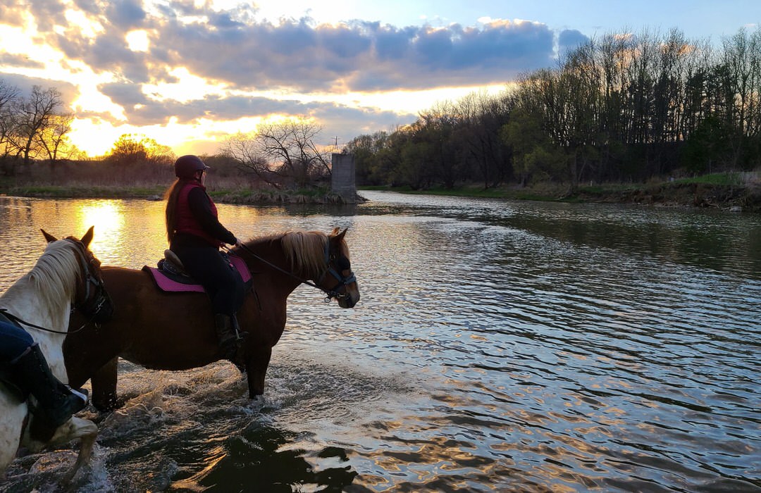 Conestogo River Horseback Adventures Destination Ontario